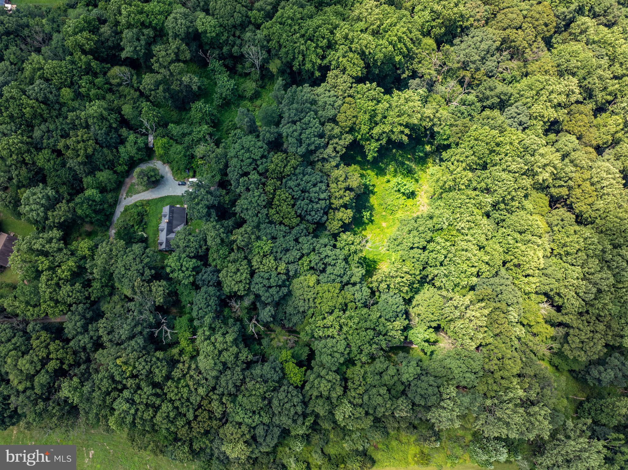 Ridge Road Rising Sun, MD 21911 - Photo 4 of 6 an aerial view of a house with a yard