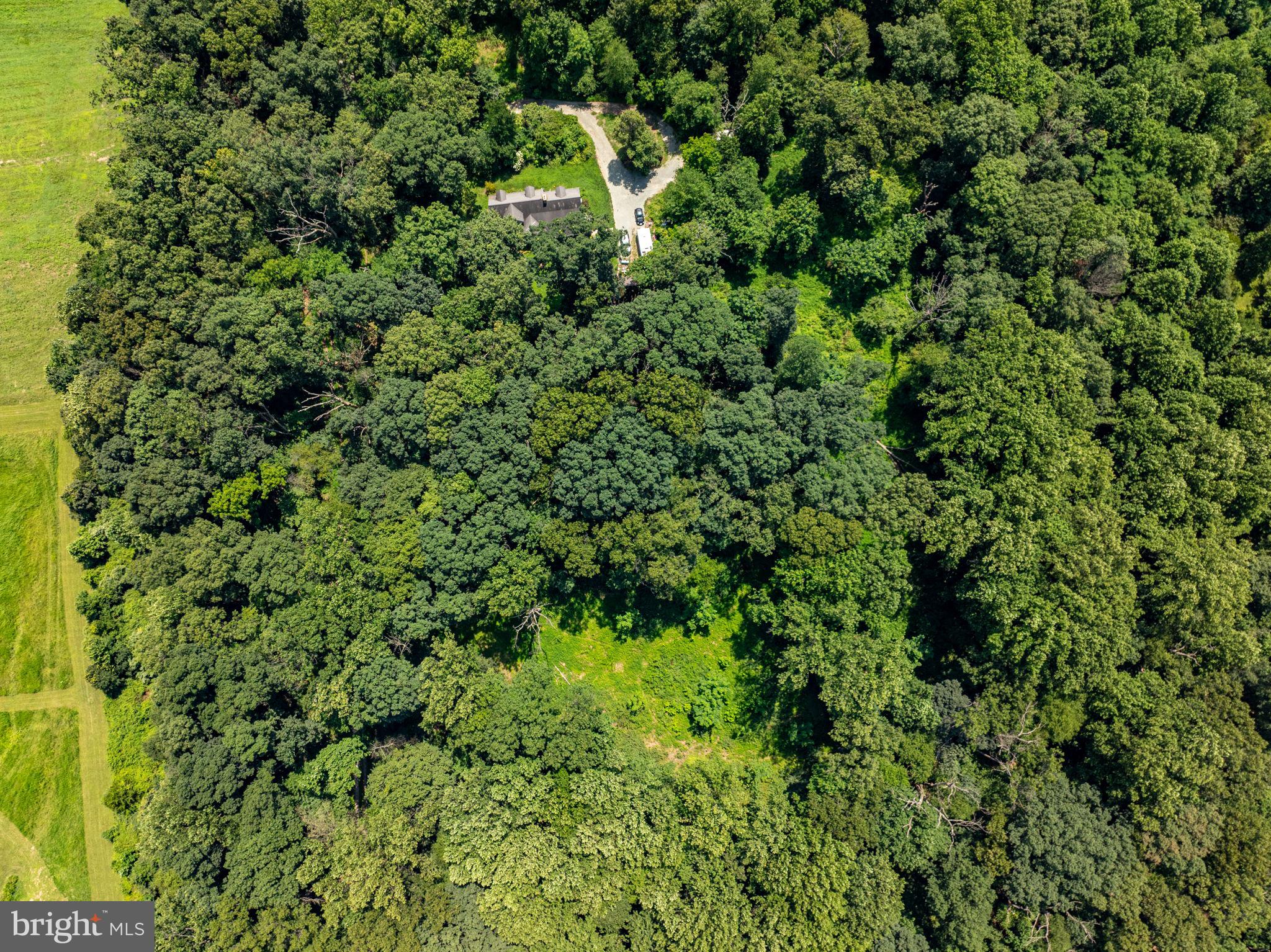 Ridge Road Rising Sun, MD 21911 - Photo 5 of 6 a view of a lush green forest with a building