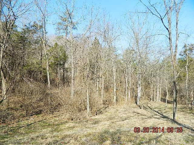 820 New Fox Road Irvine, KY 40336 - Photo 49 of 64 Photo 49