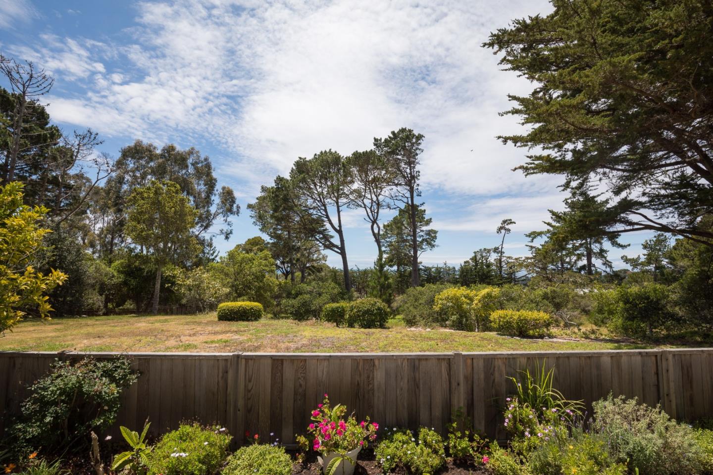 1508 Viscaino Road Pebble Beach, CA 93953 - Photo 8 of 23 a view of a garden with flowers