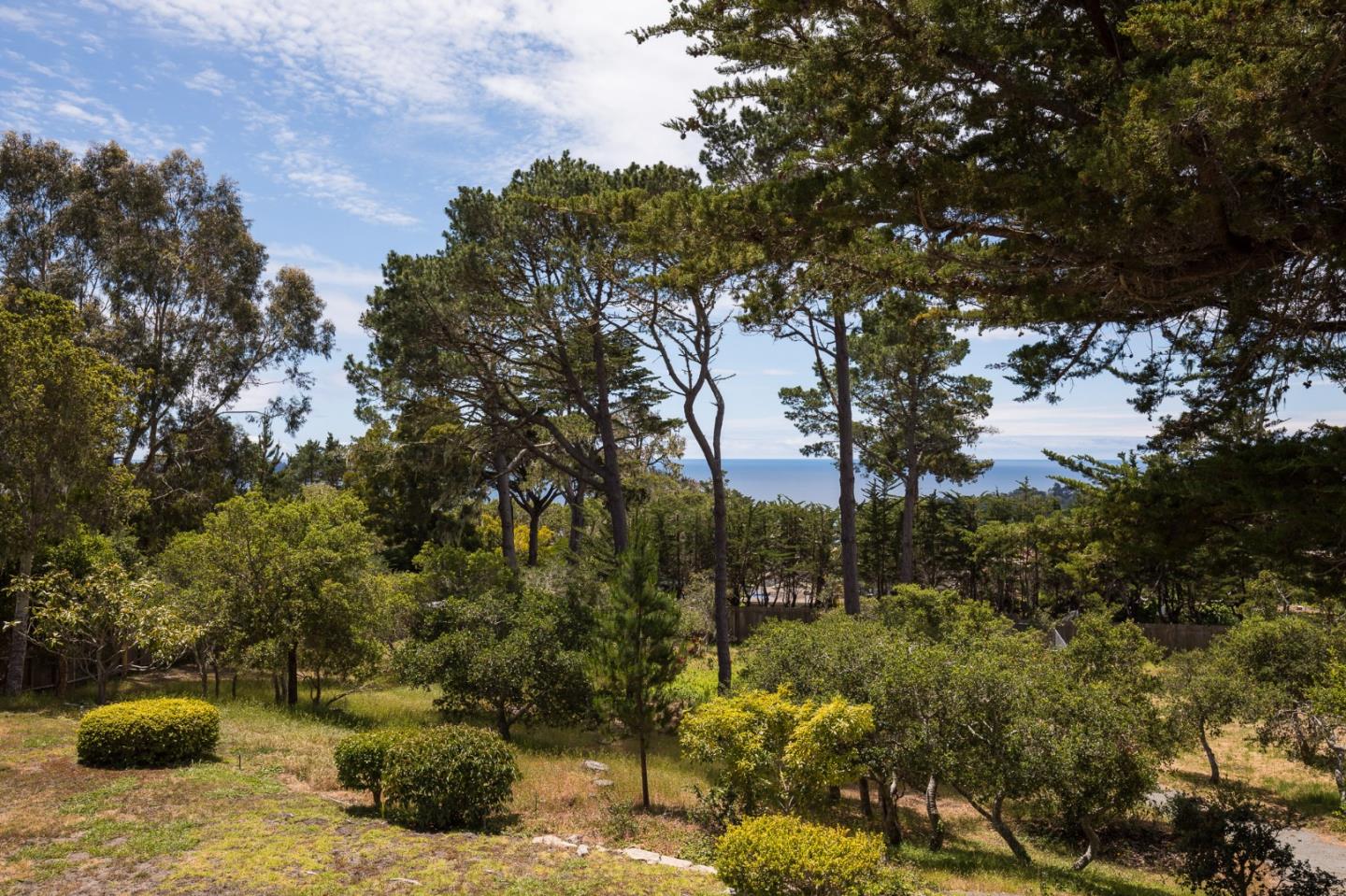 1508 Viscaino Road Pebble Beach, CA 93953 - Photo 9 of 23 a view of outdoor space and garden