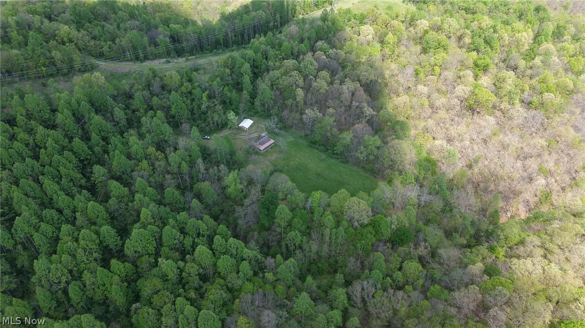 123 Foxtrot Road Looneyville, WV 25259 - Photo 21 of 50