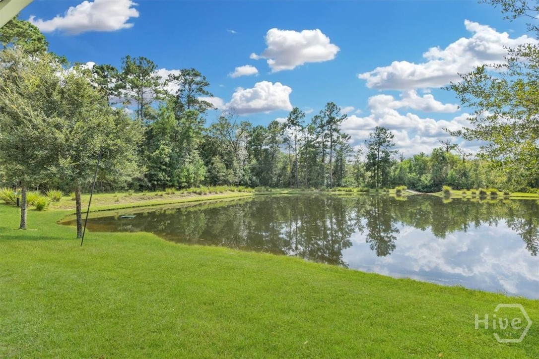 291 McQueen Drive Pooler, GA 31322 - Photo 46 of 57 LAKE VIEW