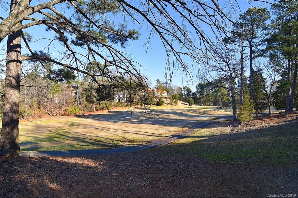 6045 Windjammer Drive Tega Cay, SC 29708 - Photo 29 of 31 a view of road with large trees