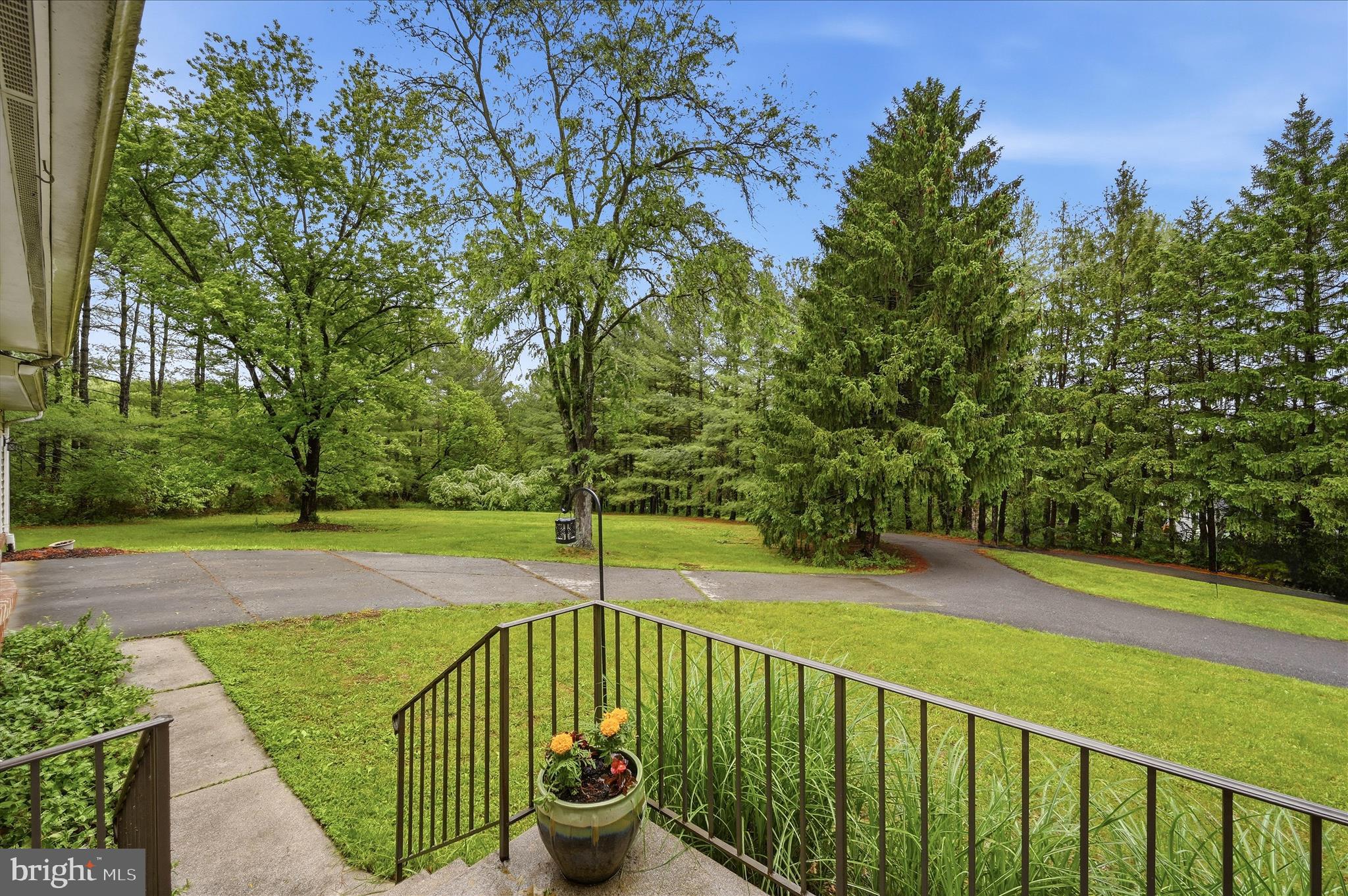 244 High Banks Road Stephenson, VA 22656 - Photo 4 of 45 a view of a outdoor space