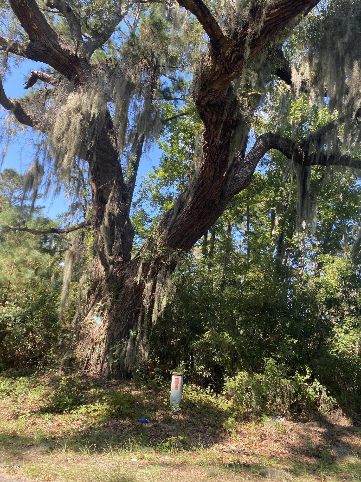 420 Seaside Road St. Helena Island, SC 29920 - Photo 3 of 8 IMG-1831
