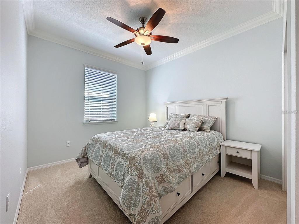 209 Silver Maple Road Groveland, FL 34736 - Photo 15 of 45 Gallery Image 15