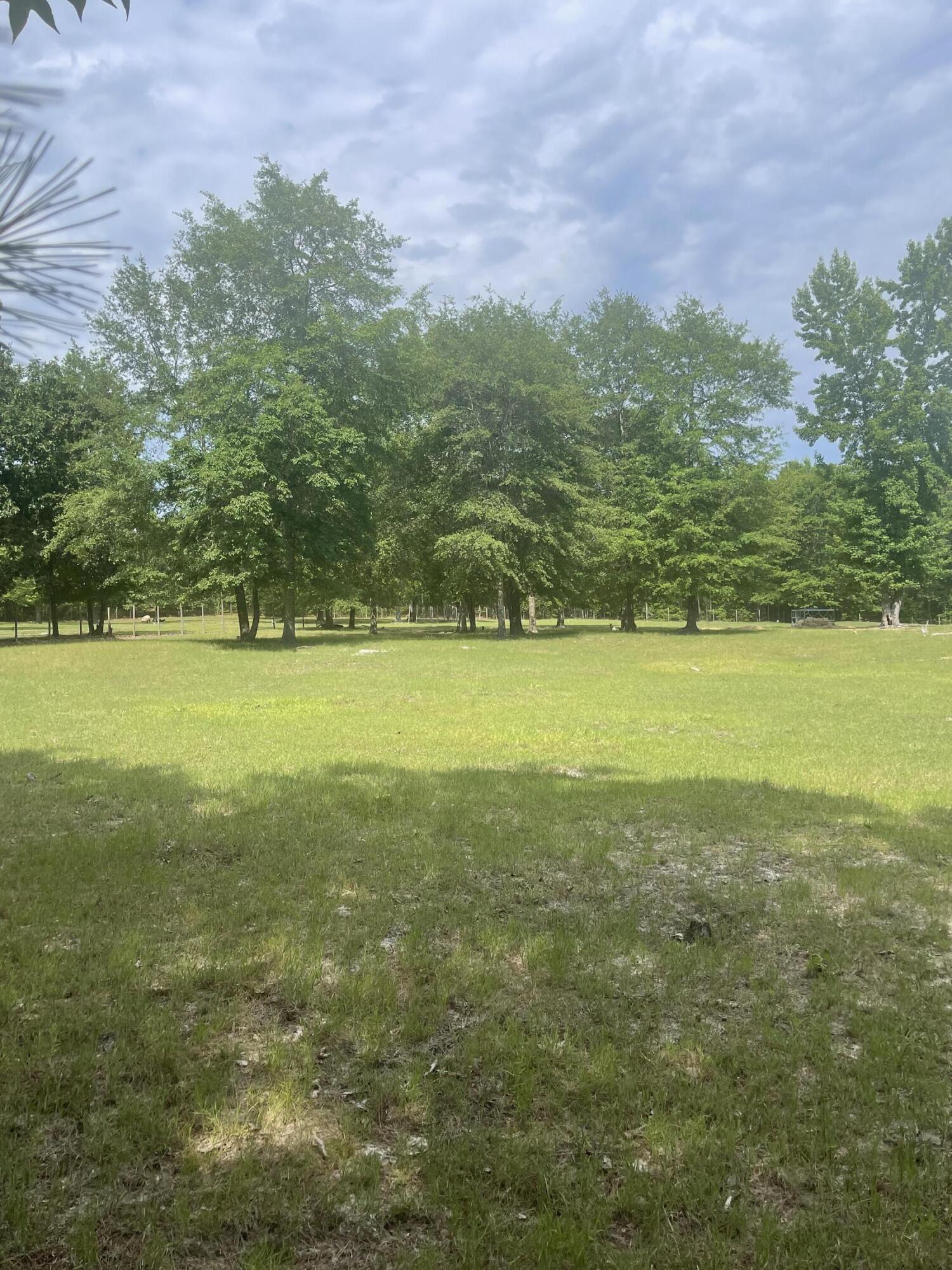 56 Geno Branch Road Camden, SC 29020 - Photo 16 of 21