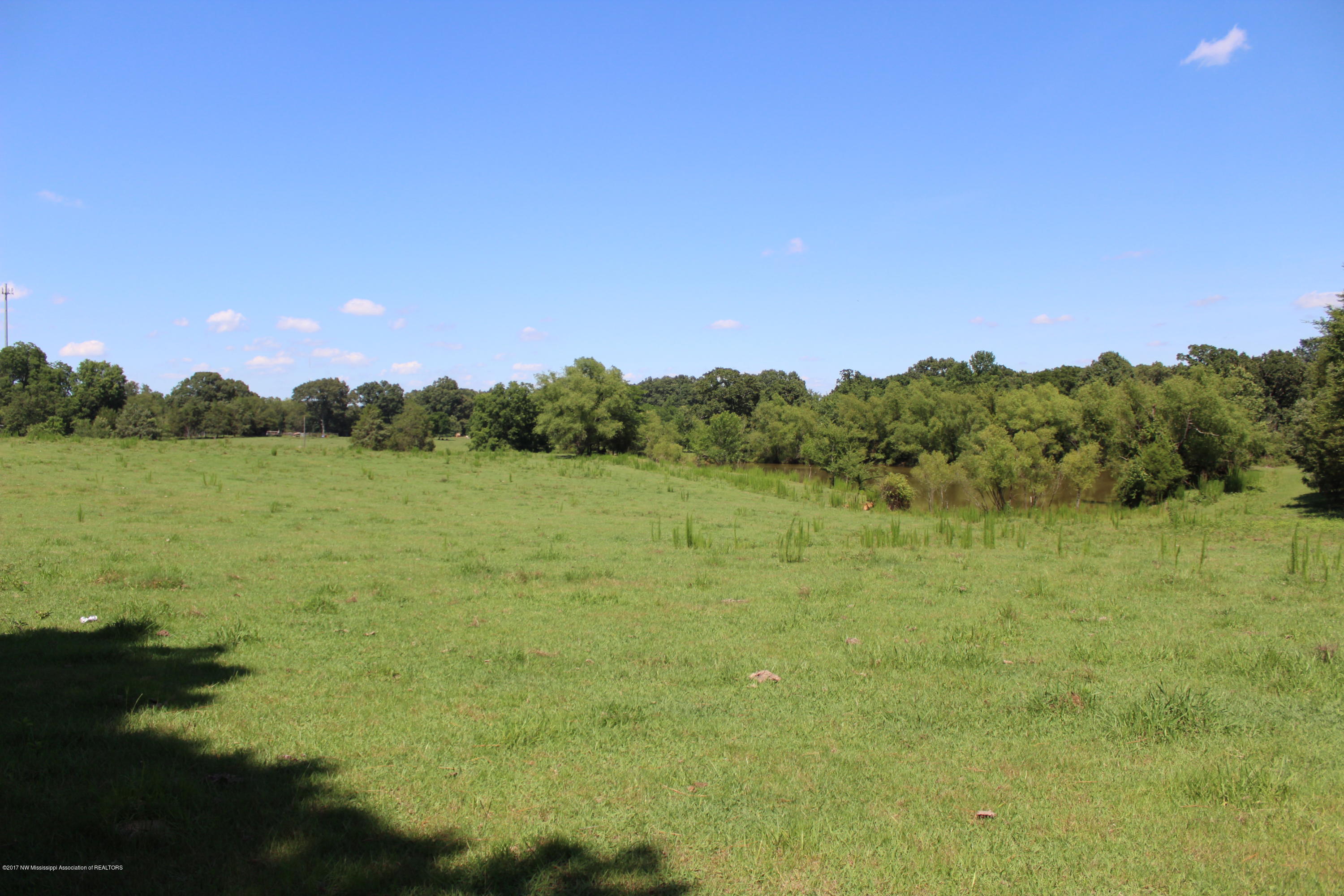935 South Craft Road Hernando, MS 38632 - Photo 2 of 5 IMG_0241