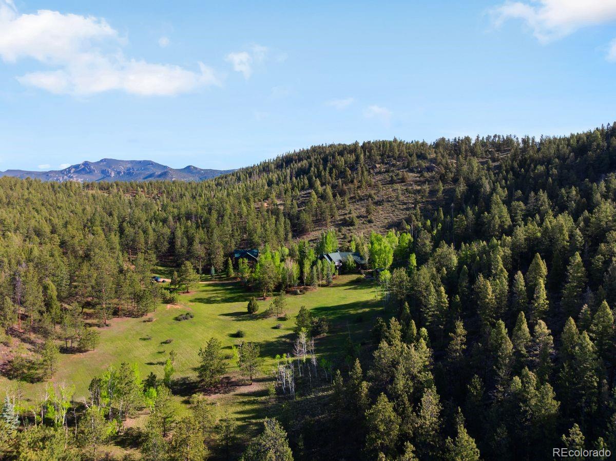 29700 South Sunset Trail Conifer, CO 80433 - Photo 5 of 46