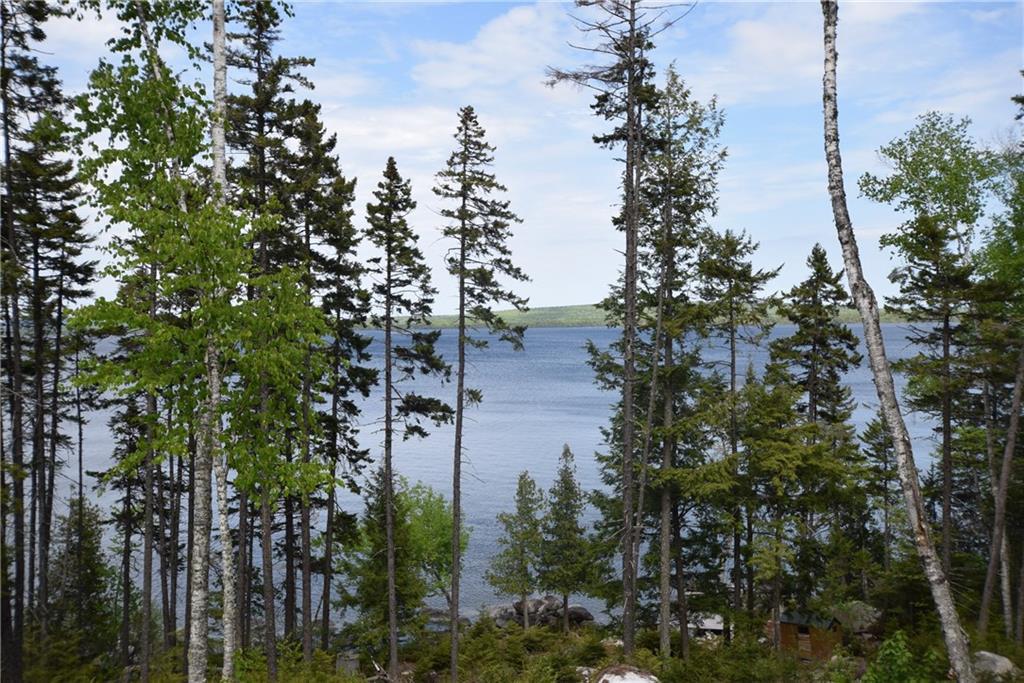 321 Boulder Road Danforth, ME 04424 - Photo 9 of 30 Mature trees dot the landscape...