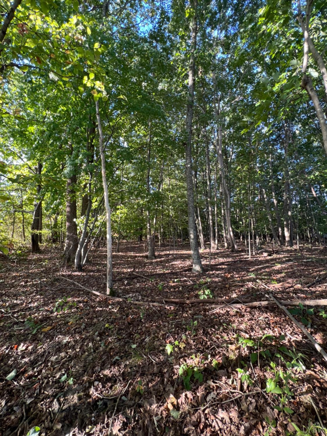 3472 Heights School Road Pamplin, VA 23934 - Photo 1 of 11 Gallery Image 1