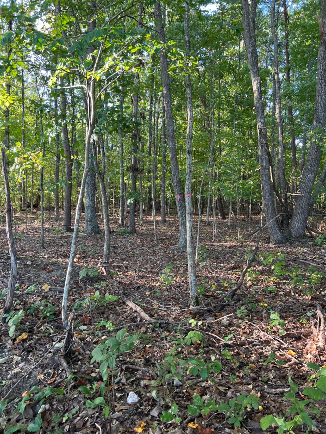 3472 Heights School Road Pamplin, VA 23934 - Photo 2 of 11 Gallery Image 2