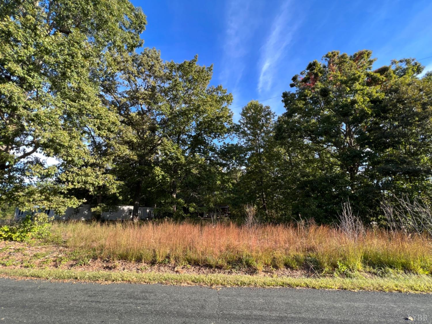 3472 Heights School Road Pamplin, VA 23934 - Photo 8 of 11 Gallery Image 8