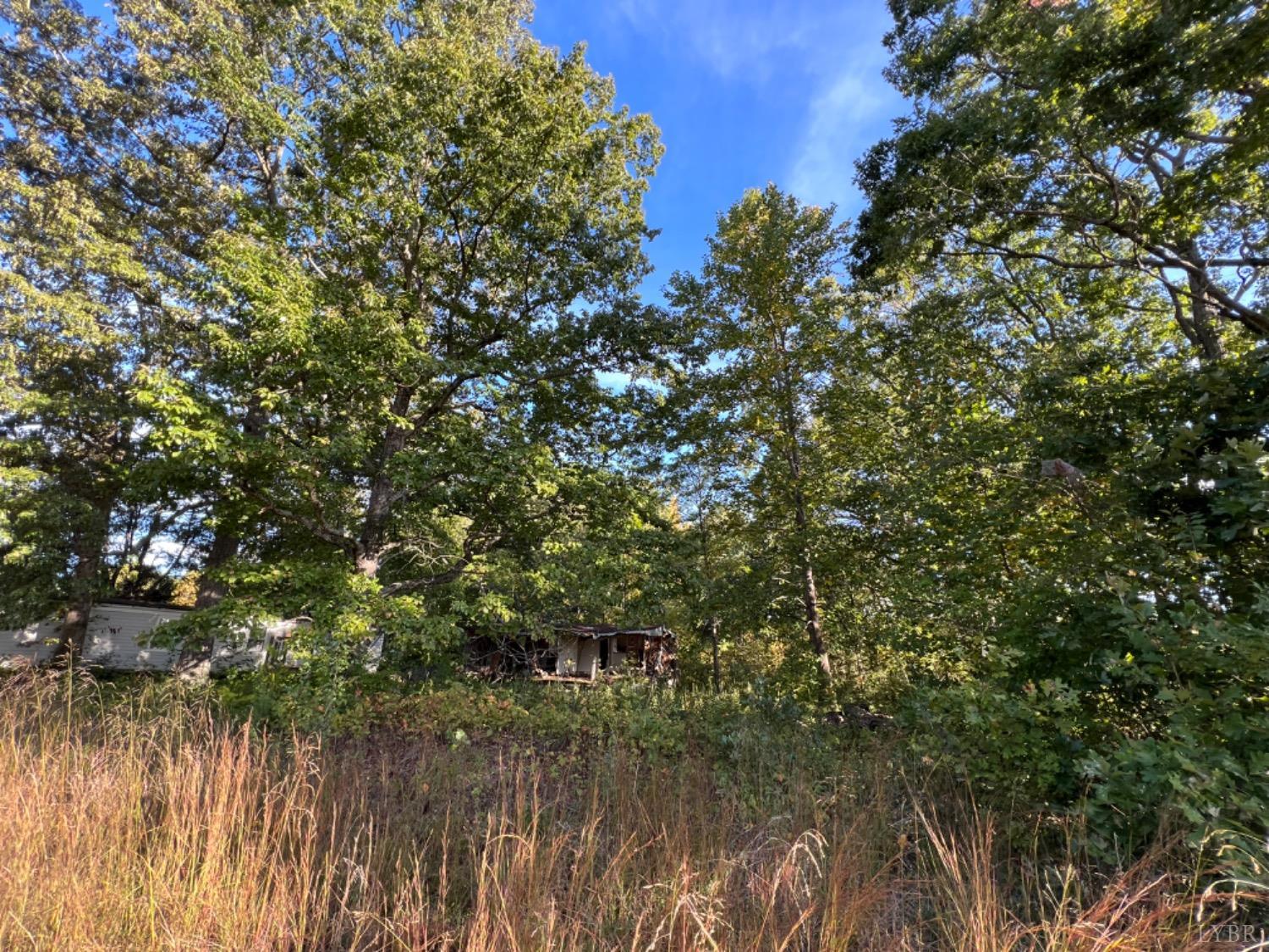 3472 Heights School Road Pamplin, VA 23934 - Photo 9 of 11 Gallery Image 9