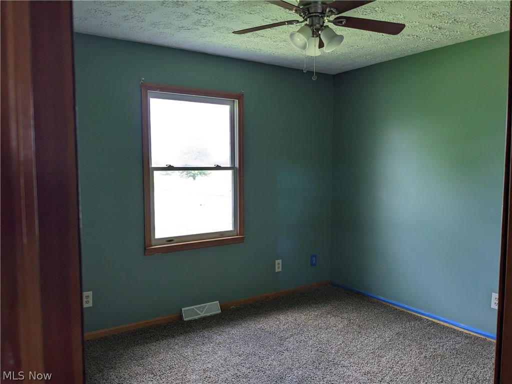 13096 Smith Road Wellington, OH 44090 - Photo 12 of 24 Room featuring a ceiling fan with light fixture, wood-trim window, and dark green walls