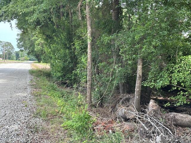 425 Biddle Road Dover, NC 28526 - Photo 4 of 52 IMG_0928