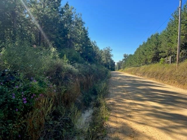 2-ac Coon Road Opp, AL 36467 - Photo 5 of 9 Gallery Image 5