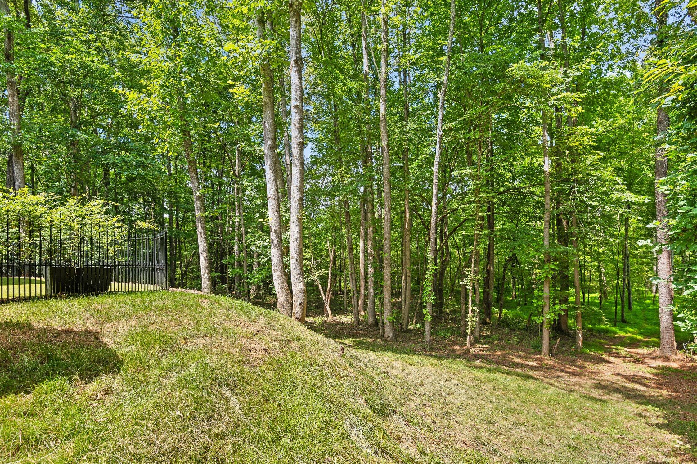 540 Greenwood Road Ringgold, GA 30736 - Photo 47 of 57 Aerial View