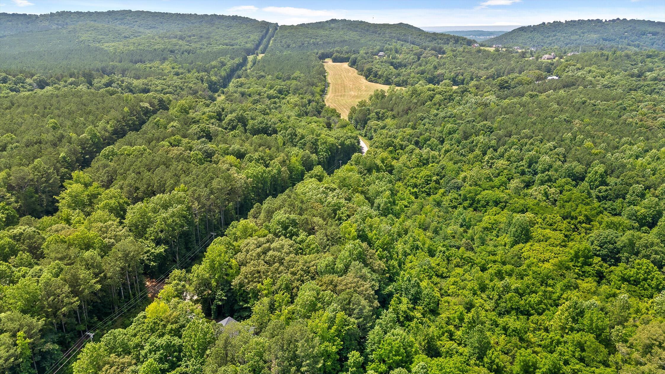 540 Greenwood Road Ringgold, GA 30736 - Photo 53 of 57 Aerial View