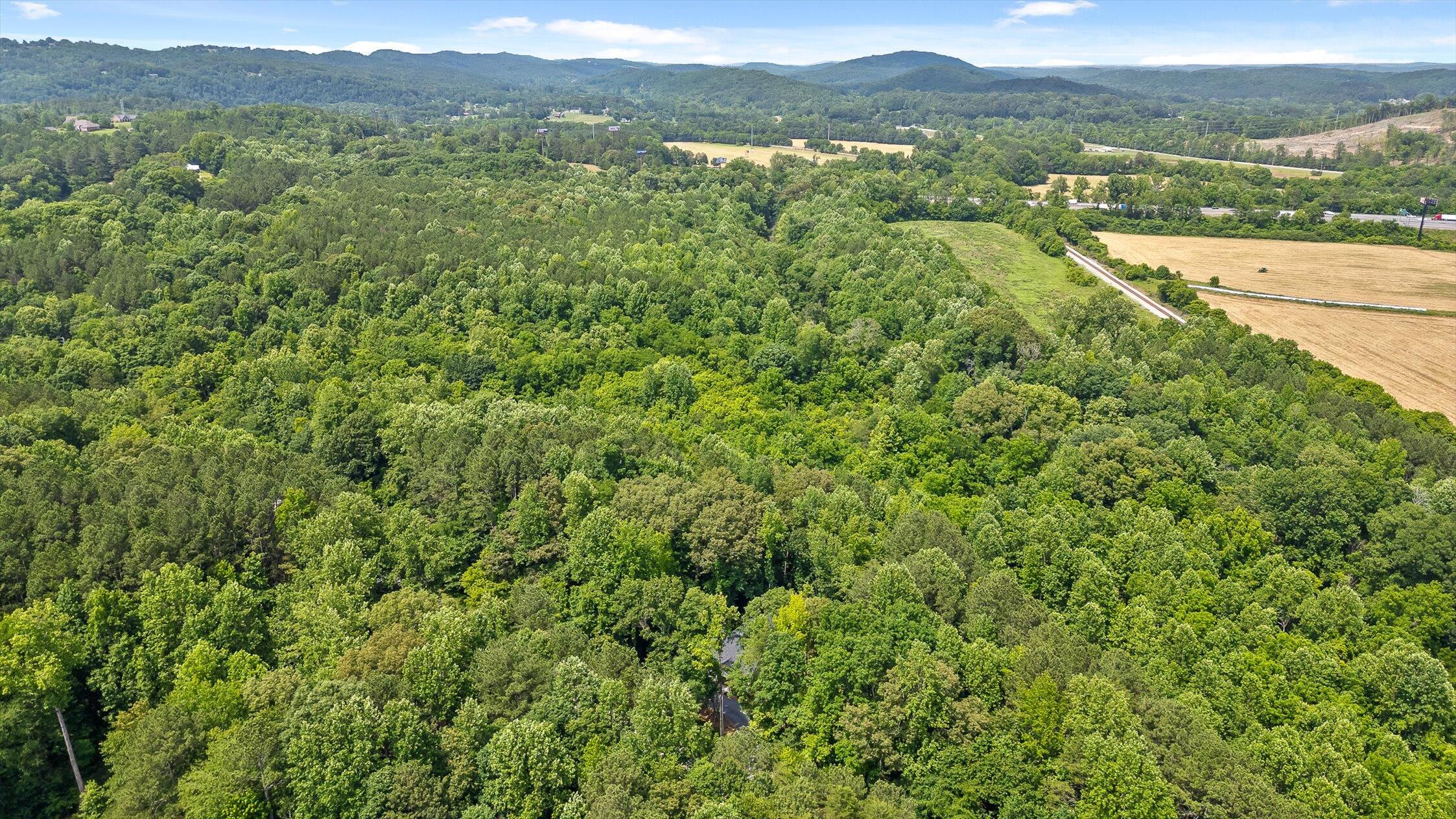 540 Greenwood Road Ringgold, GA 30736 - Photo 54 of 57 Aerial View
