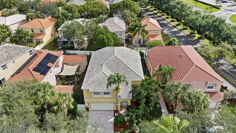 a view of a park with palm trees