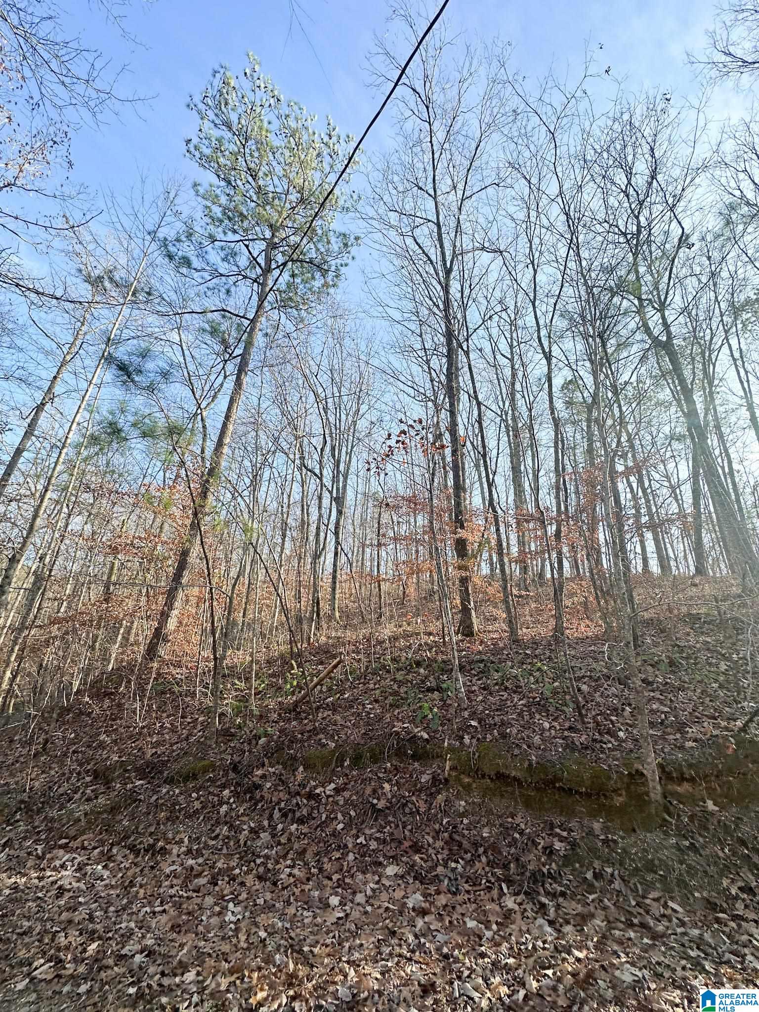 5325 Union T Road Talladega, AL 35160 - Photo 17 of 83