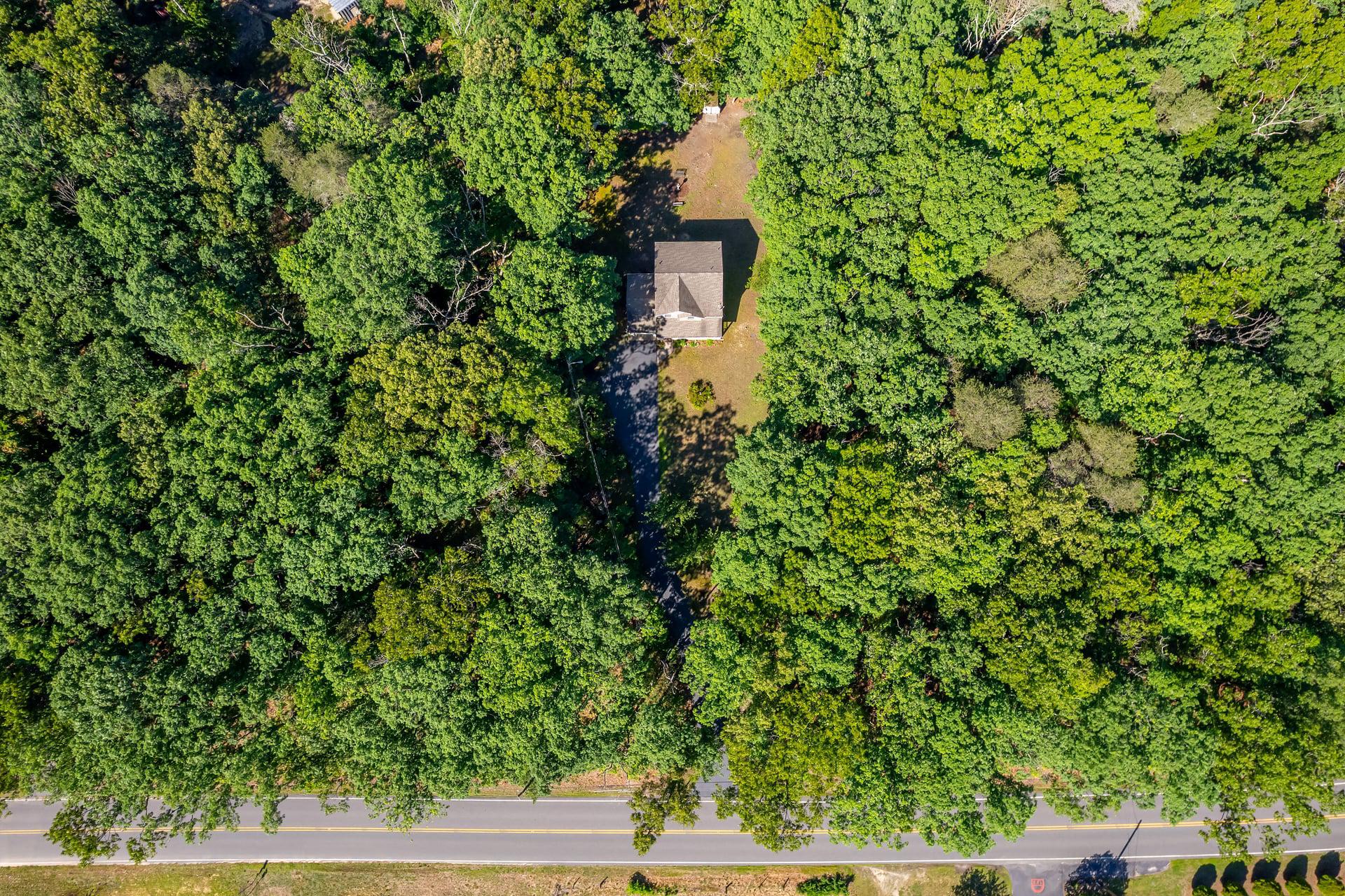 164 Clarks Pond Road Bridgeton, NJ 08302 - Photo 25 of 27 Secluded retreat amidst lush greenery.