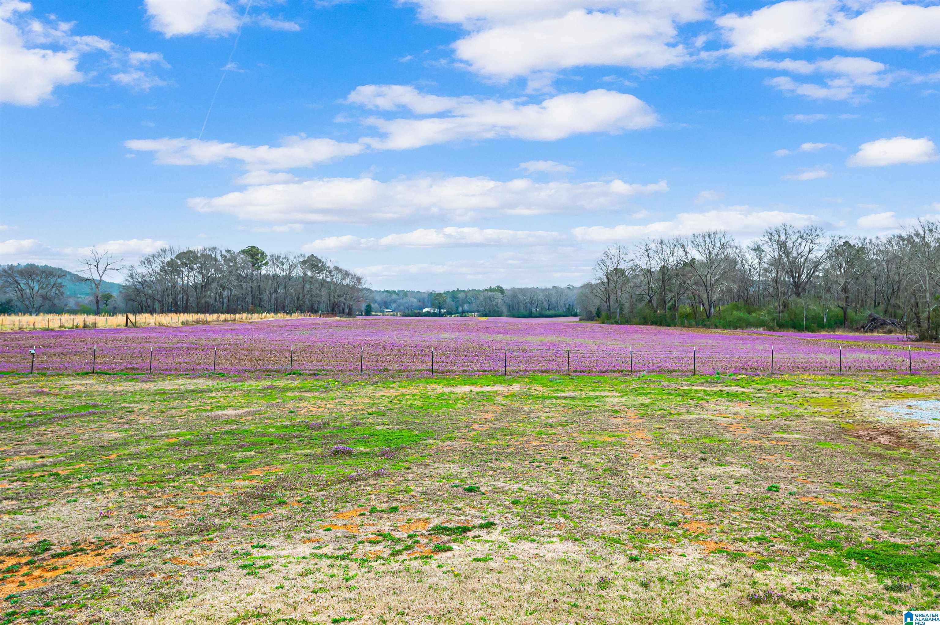3148 Oakdale Road Alpine, AL 35014 - Photo 53 of 53 Gallery Image 53