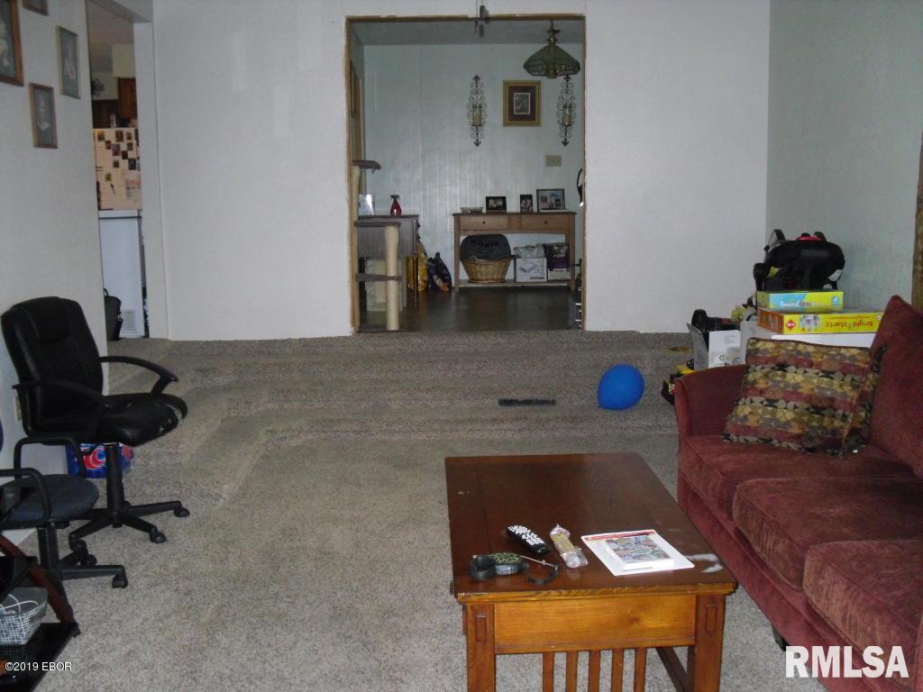3111 Hotze Road Salem, IL 62881 - Photo 3 of 25
