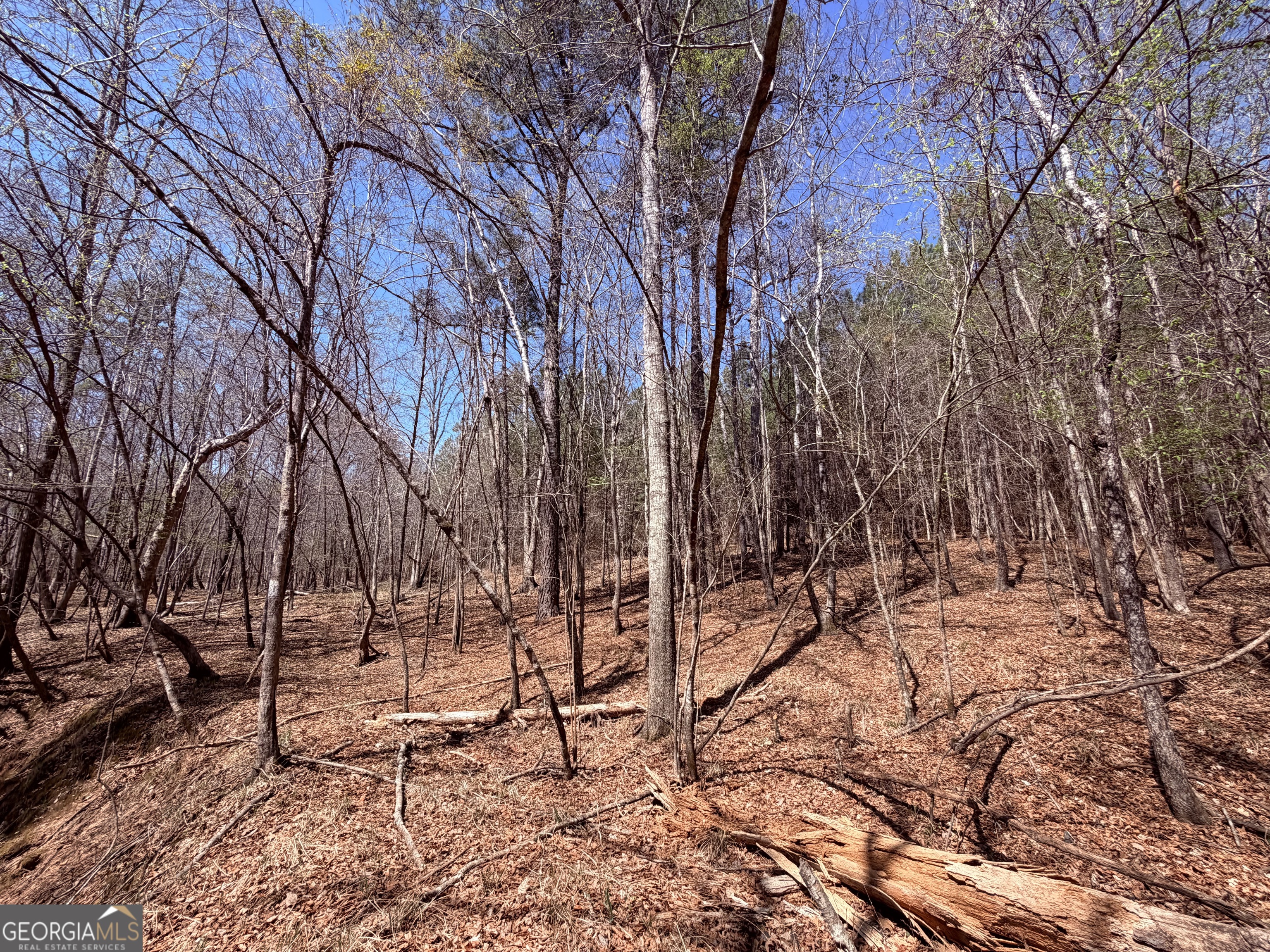 0 Carrs Station Road Sparta, GA 31087 - Photo 13 of 16 Gallery Image 13