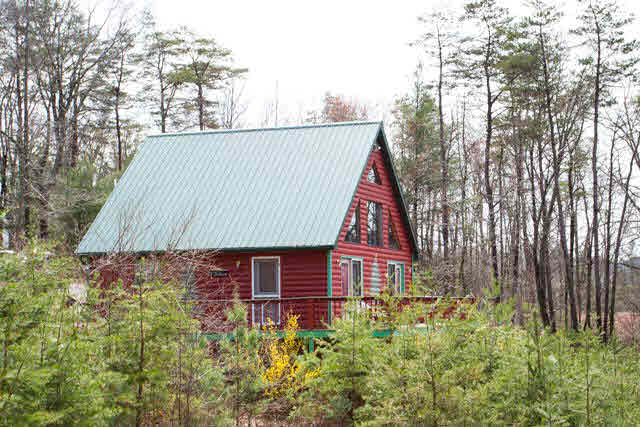 116 Hook Trail Road Mathias, WV 26812 - Photo 3 of 15 a view of a backyard with plants and large tree