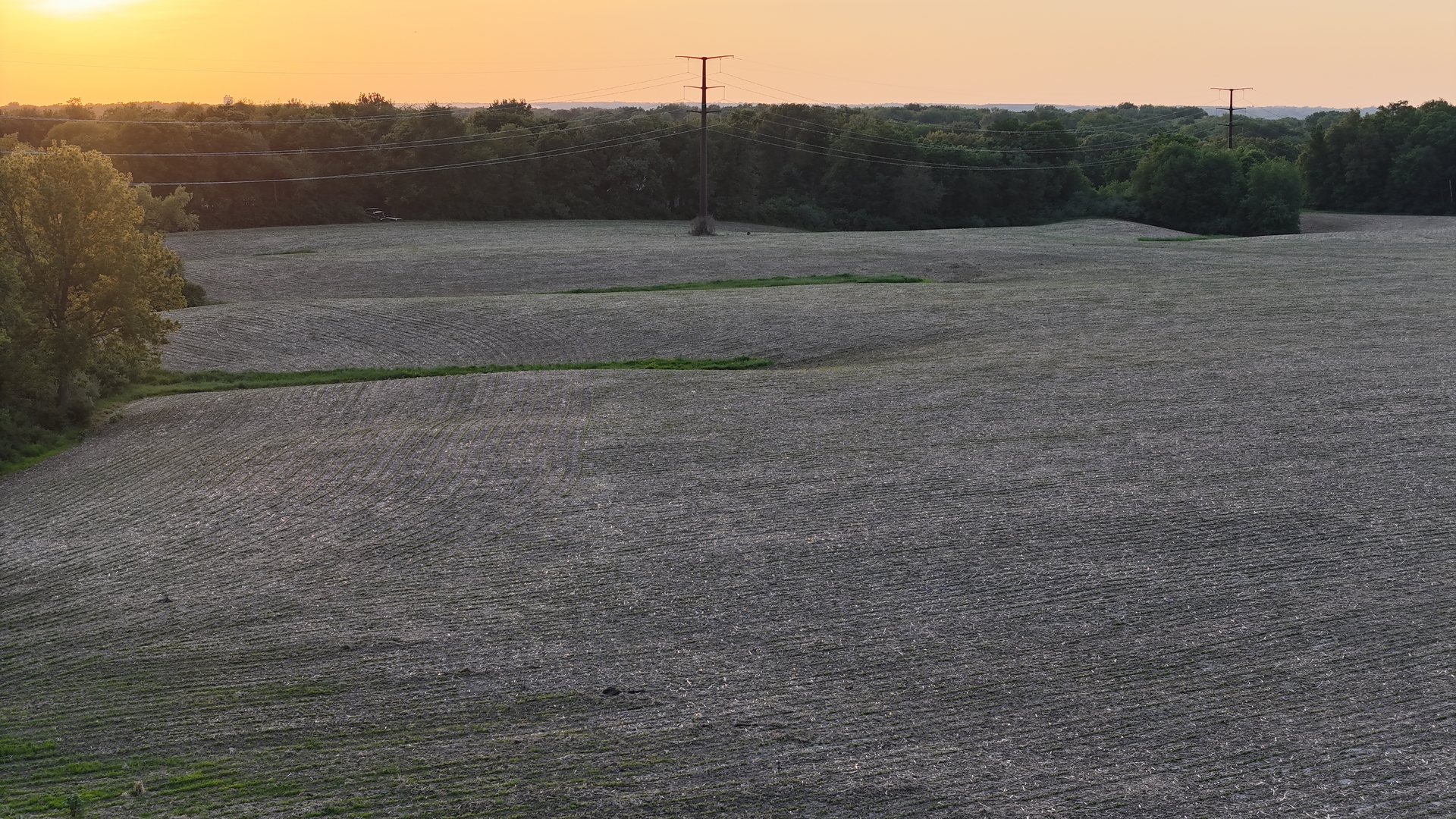 0 Ridgewood Road Milan, IL 61264 - Photo 33 of 43 a view of a dry yard