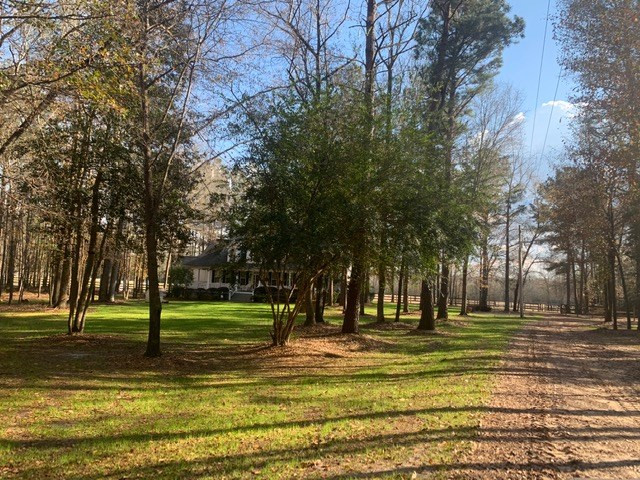 1201 Clayton Road Ridge Spring, SC 29129 - Photo 6 of 56