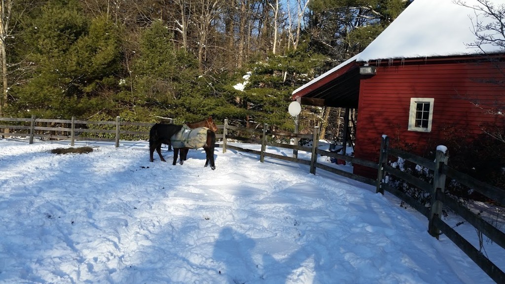 49 High Bridge Road Hubbardston, MA 01452 - Photo 36 of 38 Gallery Image 36