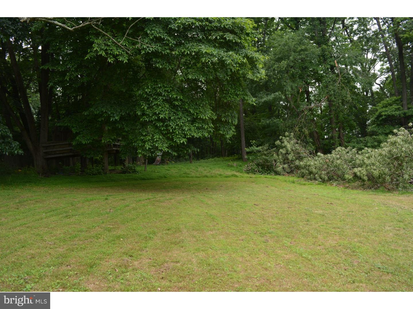 238 Howarth Road Media, PA 19063 - Photo 5 of 6
