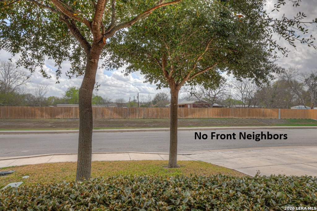 124 Field Ridge New Braunfels, TX 78130 - Photo 41 of 43 a view of a street with a tree