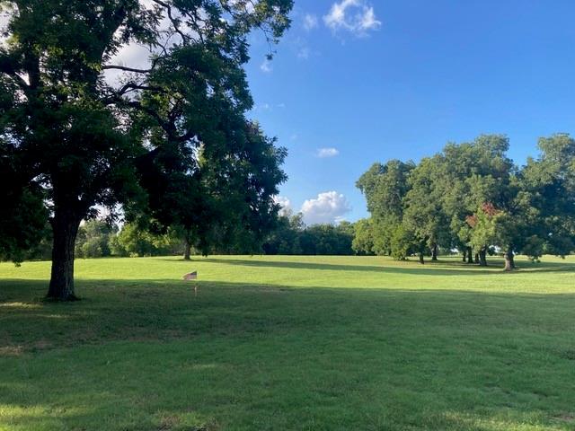 9015 Highway 69 Bells, TX 75414 - Photo 3 of 21 Surrounding community with a yard and view of wooded area