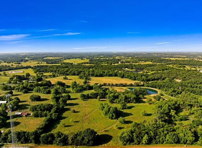 9015 Highway 69 Bells, TX 75414 - Photo 10 of 21 Bird's eye view