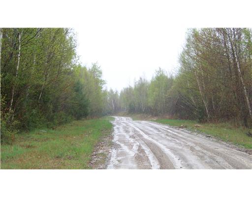 Lot # Upper Dobsis Road Lakeville, ME 04487 - Photo 2 of 4 Exterior Front.