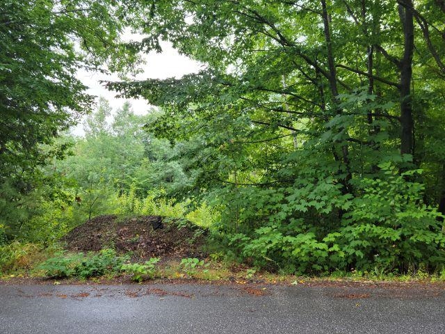 17 Ryswick Street Gilford, NH 03249 - Photo 2 of 11