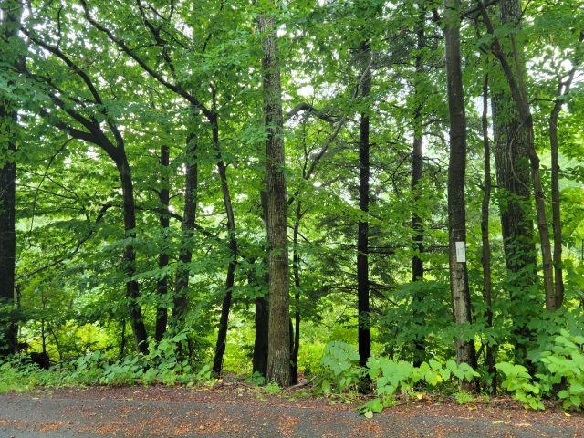 17 Ryswick Street Gilford, NH 03249 - Photo 3 of 11