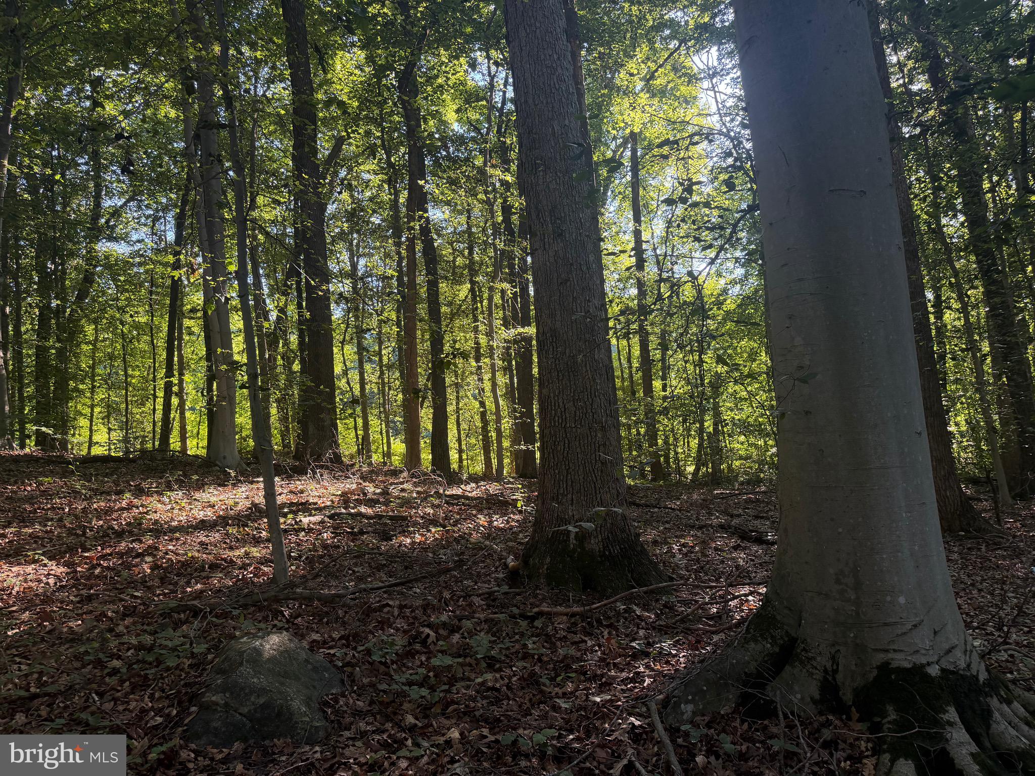 0 Rock Springs Road Conowingo, MD 21918 - Photo 44 of 79