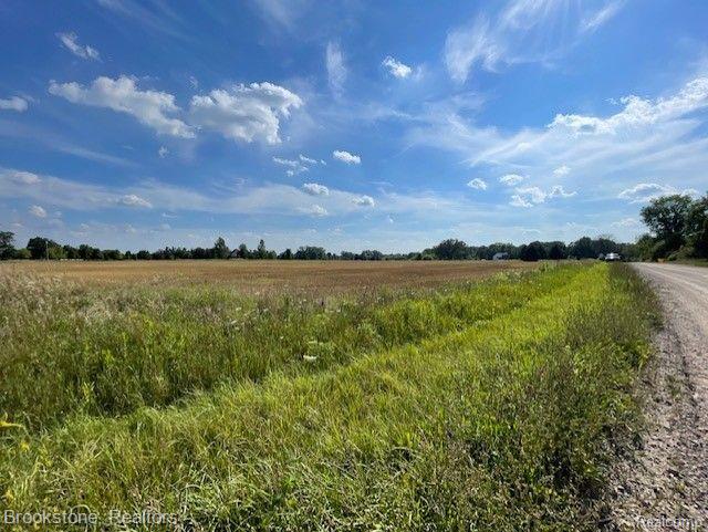 78955 Brown Road Romeo, MI 48065 - Photo 9 of 23