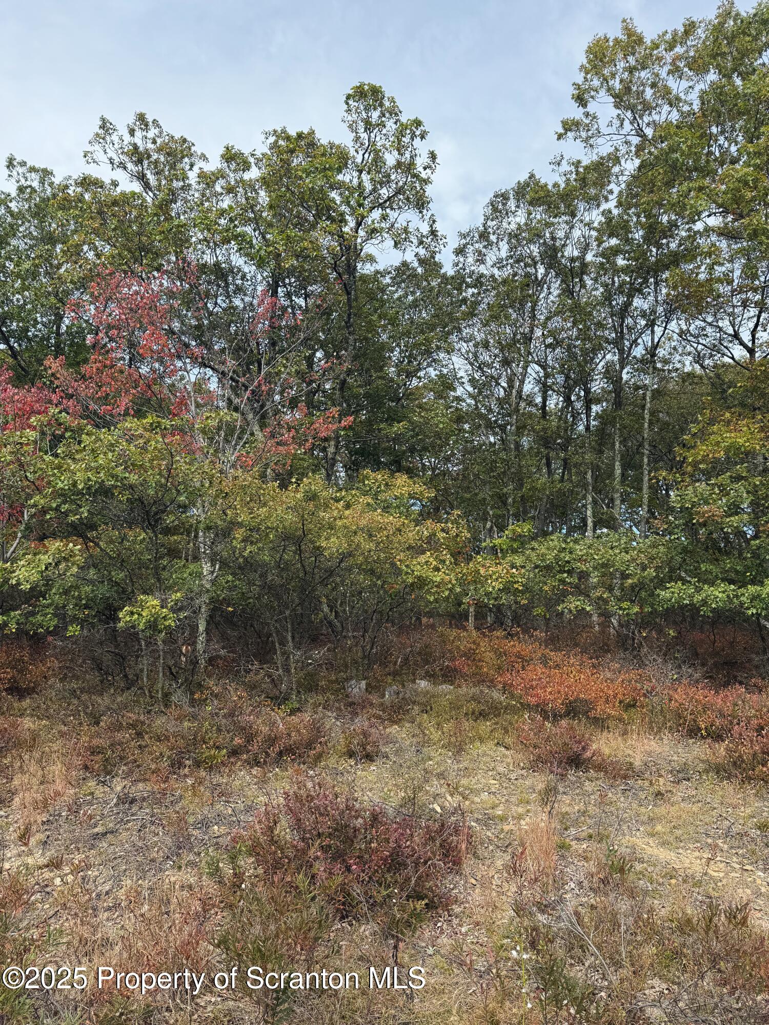 Glen Abbey Road Hazleton, PA 18202 - Photo 2 of 8 83EEFD0C-833E-457F-90E9-5E73FC48365A