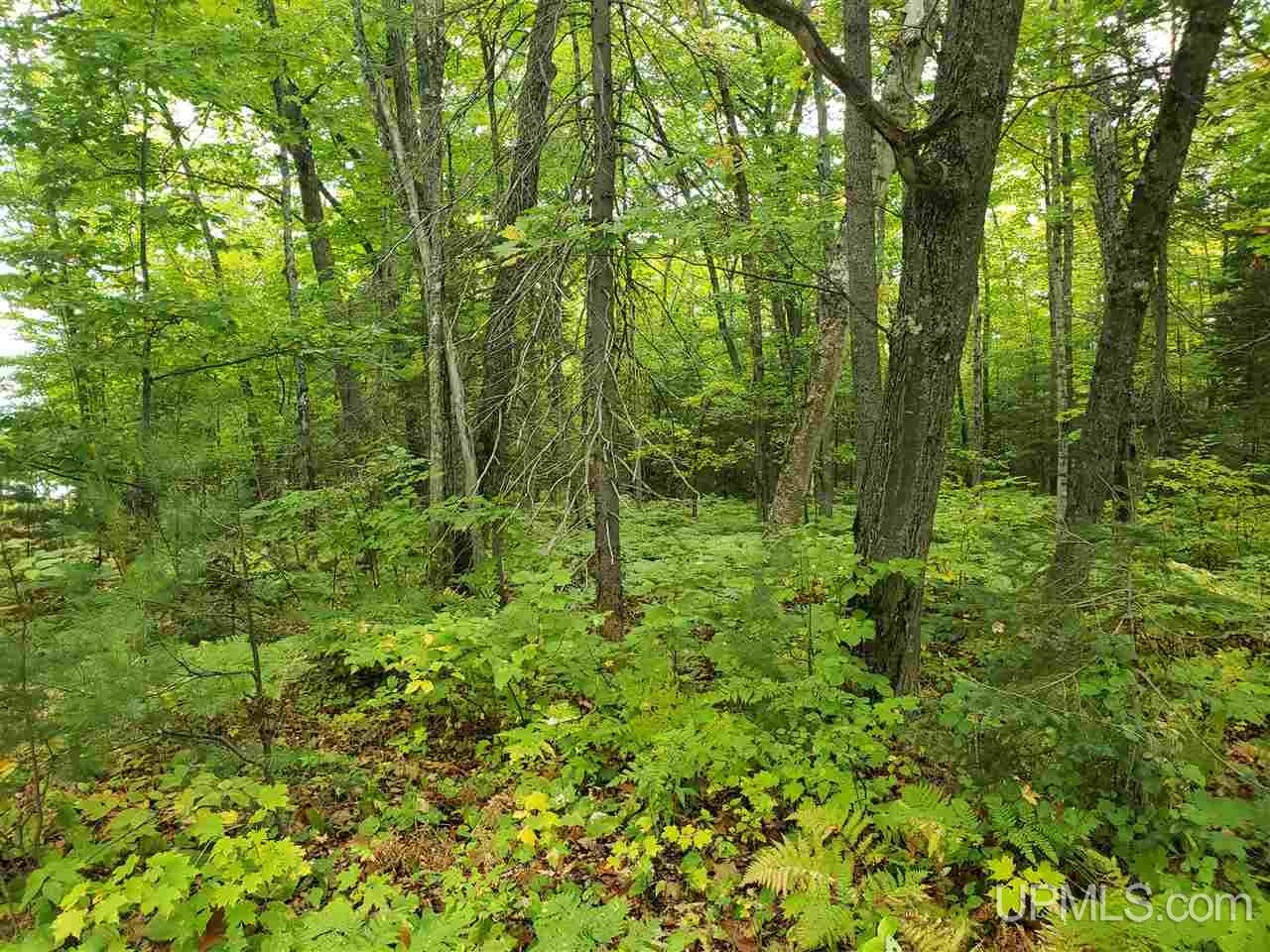 Tbd 1 Bootjack Road Lake Linden, MI 49945 - Photo 5 of 18 Gallery Image 5