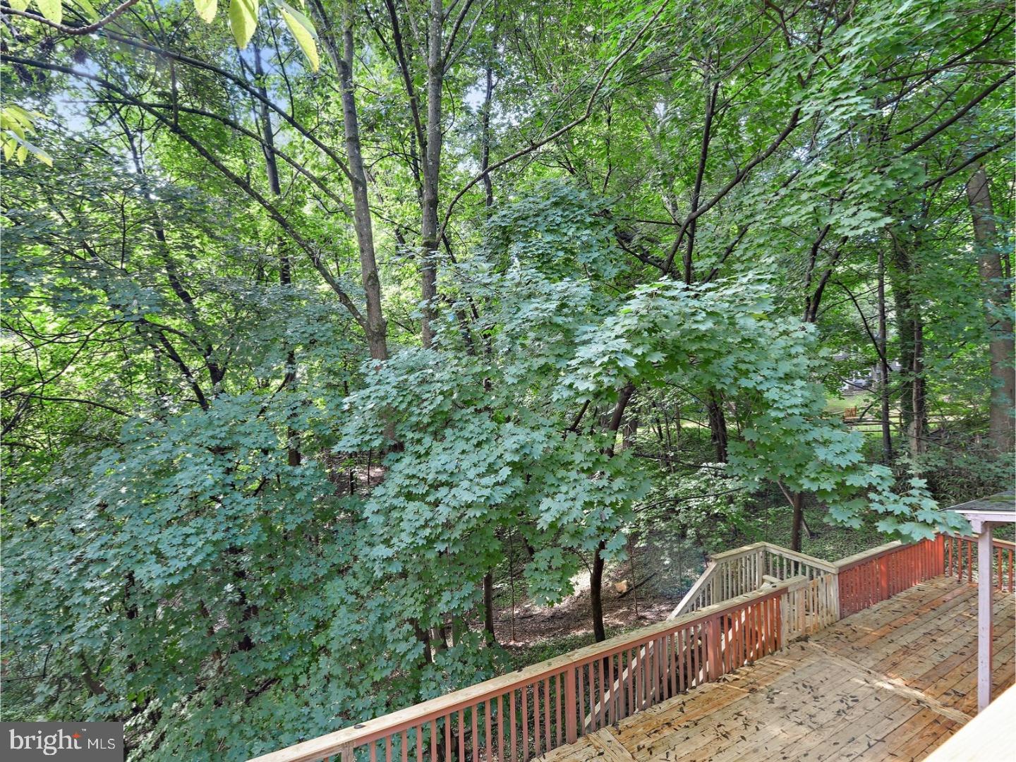 617 Farnum Road Media, PA 19063 - Photo 8 of 25 View in Back