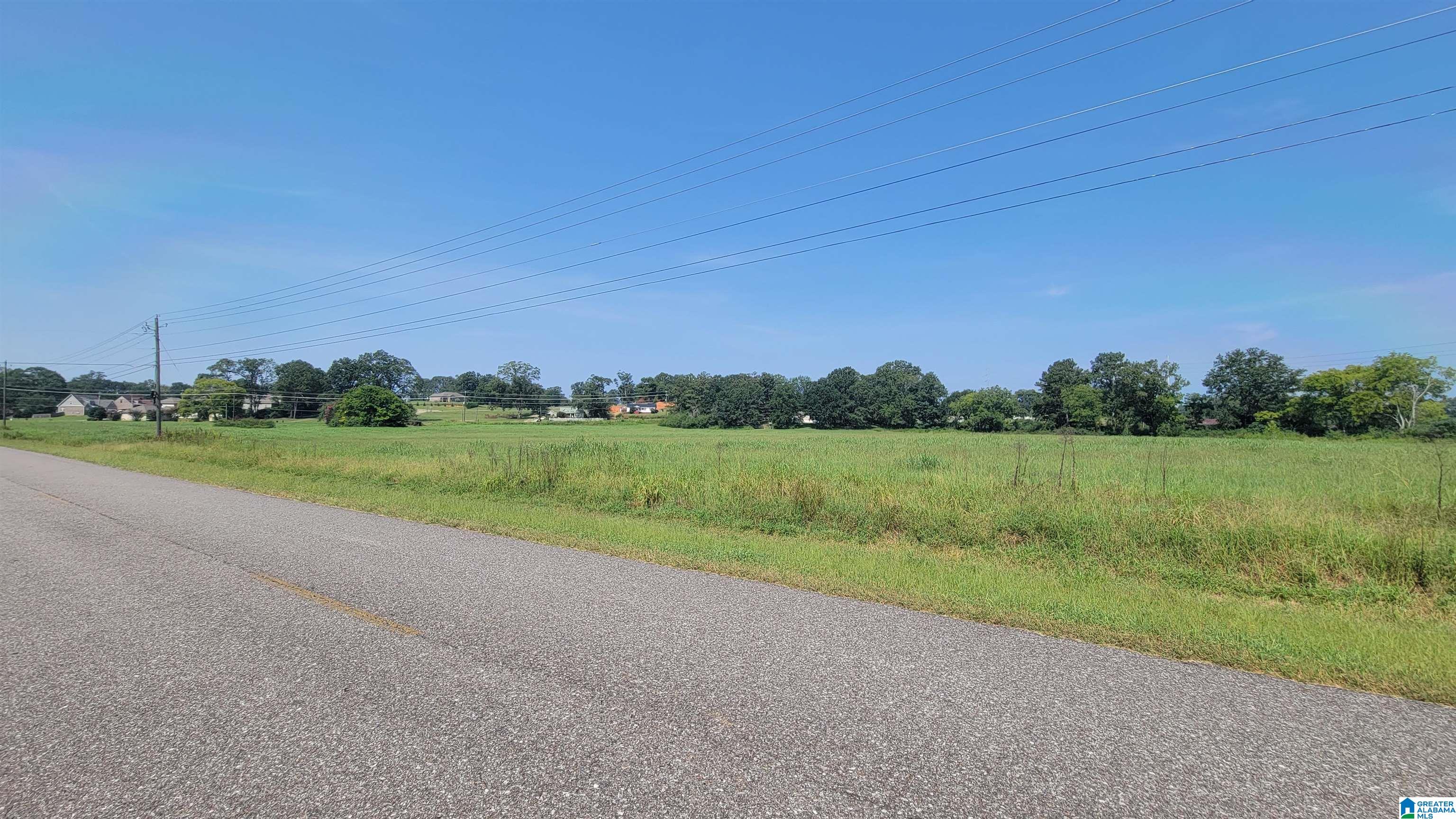 0 Patton Chapel Road, Unit PARCEL 1 Lincoln, AL 35096 - Photo 3 of 6