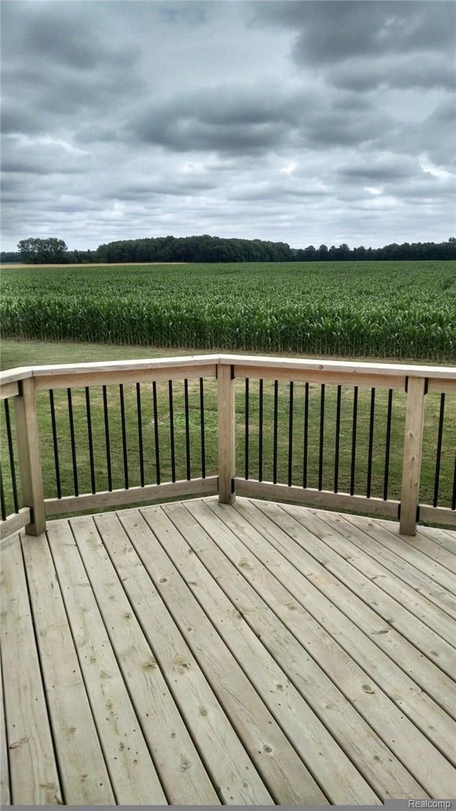 10896 Doty Road Maybee, MI 48159 - Photo 25 of 31 IMG_4182.JPG