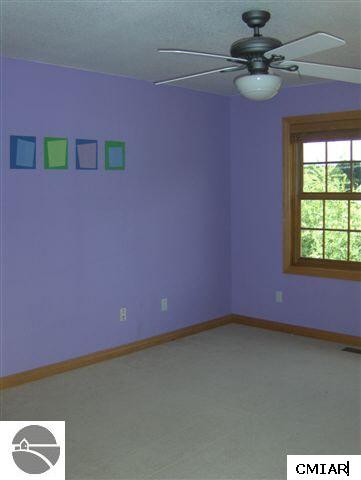 9838 North Wyman Road Edmore, MI 48829 - Photo 9 of 9 1773589-8.JPG